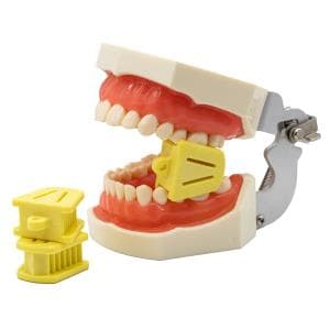 Apoya mordida Cotisen x unidad